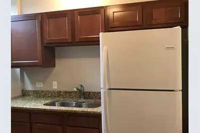 4336-38 W Flournoy Street, Chicago, IL 60624 - Photo 11