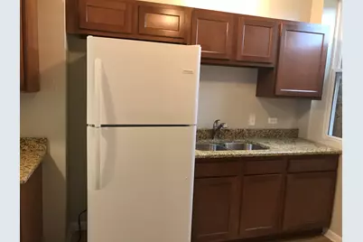 4336-38 W Flournoy Street, Chicago, IL 60624 - Photo 15