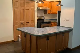 327 Wisconsin Ave, Oak Park, IL 60302 - Photo 3