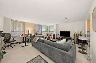 1460 N Sandburg Terrace, Chicago, IL 60610 - Photo 7