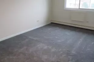 135 Pickwick Dr, Schaumburg, IL 60193 - Photo 13