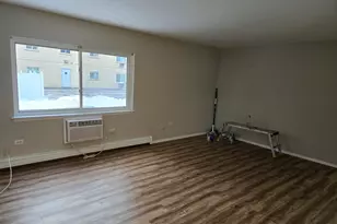 8655 1/2 W Foster Ave, Chicago, IL 60656 - Photo 3