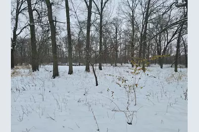 3100 N 17060 Road E, Momence, IL 60954 - Photo 3