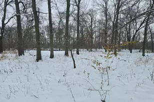 3100 N 17060 Road E, Momence, IL 60954 - Photo 3