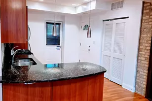 2544 W Hollywood Ave, Chicago, IL 60659 - Photo 9