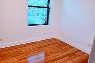 2544 W Hollywood Ave, Chicago, IL 60659 - Photo 19