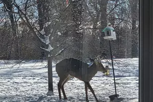 3322 Cannonball Trail, Yorkville, IL 60560 - Photo 45