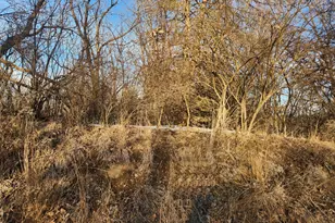 Lot 1536 Lake Wildwood Dr, Varna, IL 61375 - Photo 1