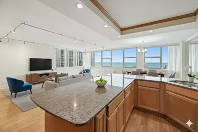 40 E Cedar Street #21C, Chicago, IL 60611 - Photo 13