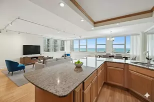 40 E Cedar St, Chicago, IL 60611 - Photo 13