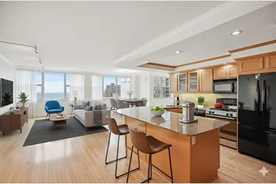 40 E Cedar Street #21C, Chicago, IL 60611 - Photo 7