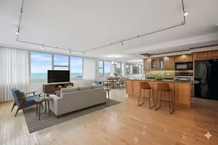 40 E Cedar St, Chicago, IL 60611 - Photo 5