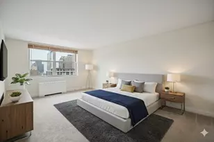 40 E Cedar St, Chicago, IL 60611 - Photo 11