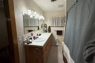 107 N Oneca St, Tonica, IL 61370 - Photo 21