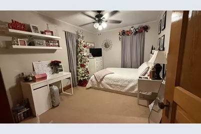 107 N Oneca Street, Tonica, IL 61370 - Photo 19