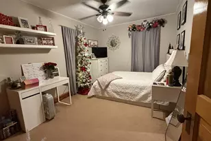 107 N Oneca St, Tonica, IL 61370 - Photo 19