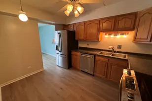 11101 O Gorman Dr, Palos Hills, IL 60465 - Photo 11