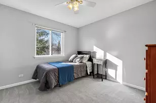 251 Arlington Ln, Grayslake, IL 60030 - Photo 13