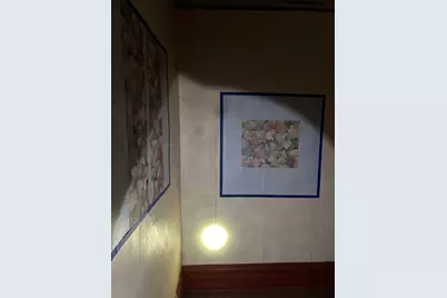 6932 S Eggleston Avenue, Chicago, IL 60621 - Photo 15