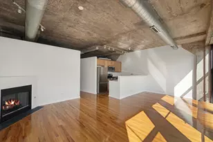 1070 W 15th St, Chicago, IL 60608 - Photo 3