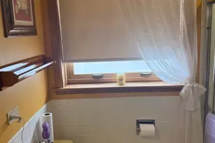 793 Timothy Ln, Des Plaines, IL 60016 - Photo 35