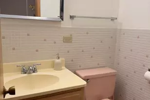 793 Timothy Ln, Des Plaines, IL 60016 - Photo 23