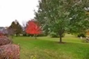 1110 Colonial Dr, Joliet, IL 60432 - Photo 33