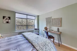 70 W Burton Pl, Chicago, IL 60610 - Photo 11