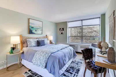 70 W Burton Place #408F, Chicago, IL 60610 - Photo 9