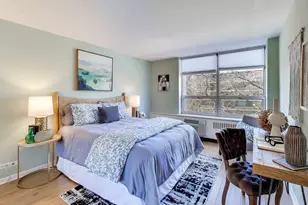 70 W Burton Pl, Chicago, IL 60610 - Photo 9