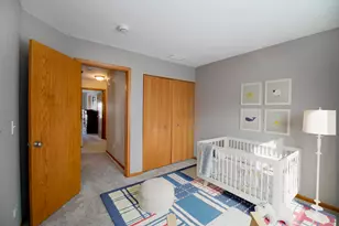 25447 Colligan St, Manhattan, IL 60442 - Photo 17