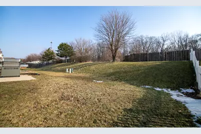 25447 Colligan Street, Manhattan, IL 60442 - Photo 21