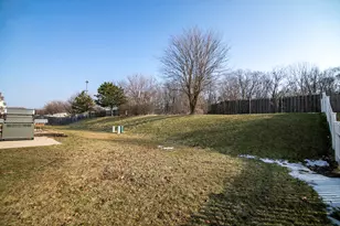 25447 Colligan St, Manhattan, IL 60442 - Photo 21