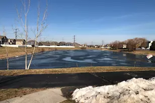 1208 Raintree Ct, Joliet, IL 60431 - Photo 41