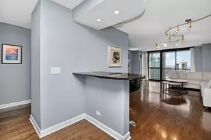 10 E Ontario St, Chicago, IL 60611 - Photo 13