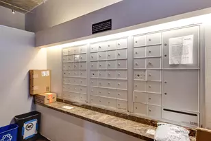 1151 W 14th Pl, Chicago, IL 60608 - Photo 5