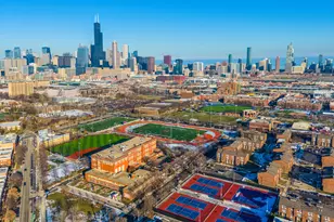 1151 W 14th Pl, Chicago, IL 60608 - Photo 45