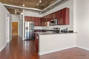 1151 W 14th Pl, Chicago, IL 60608 - Photo 9