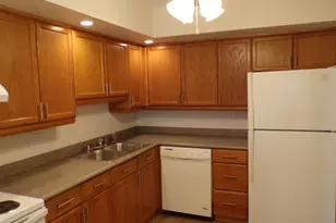 809 S Dwyer Ave, Arlington Heights, IL 60005 - Photo 9