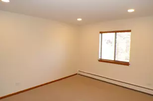 809 S Dwyer Ave, Arlington Heights, IL 60005 - Photo 11