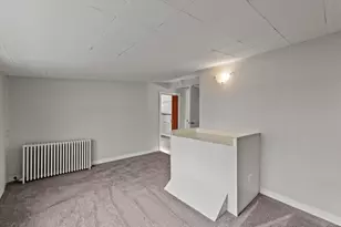 913 Ogden Rd, New Lenox, IL 60451 - Photo 25