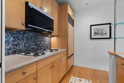 [Address not provided], Chicago, IL 60611 - Photo 11