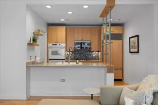 [Address not provided], Chicago, IL 60611 - Photo 7