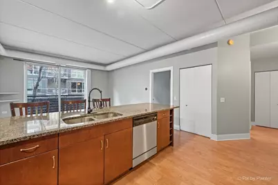 873 N Larrabee Street #201, Chicago, IL 60610 - Photo 3