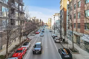 873 N Larrabee St, Chicago, IL 60610 - Photo 31