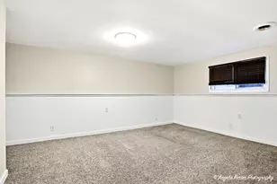 1313 Cherokee Dr, Round Lake Beach, IL 60073 - Photo 19