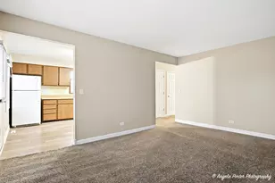 1313 Cherokee Dr, Round Lake Beach, IL 60073 - Photo 5