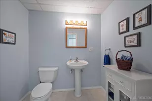 11453 Wildrose Dr, Huntley, IL 60142 - Photo 23