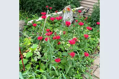 1203 Redfield Road, Naperville, IL 60563 - Photo 31