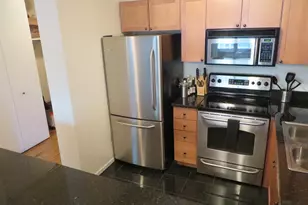 30 E Huron St, Chicago, IL 60611 - Photo 11